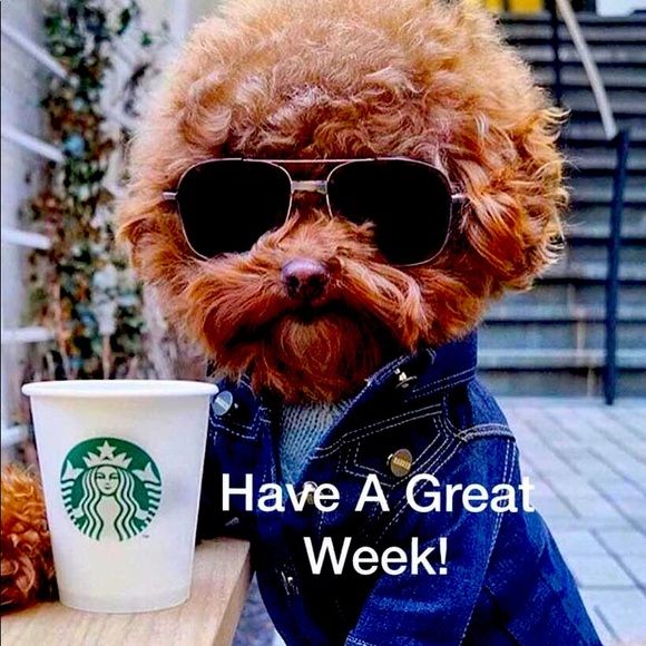 Meet your Posher, June - Picture 1 of 2